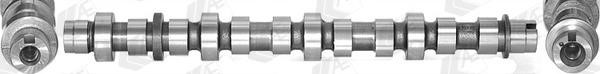 Wilmink Group WG1462580 Camshaft WG1462580: Buy near me in Poland at 2407.PL - Good price!