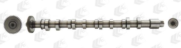 Wilmink Group WG1462593 Camshaft WG1462593: Buy near me in Poland at 2407.PL - Good price!