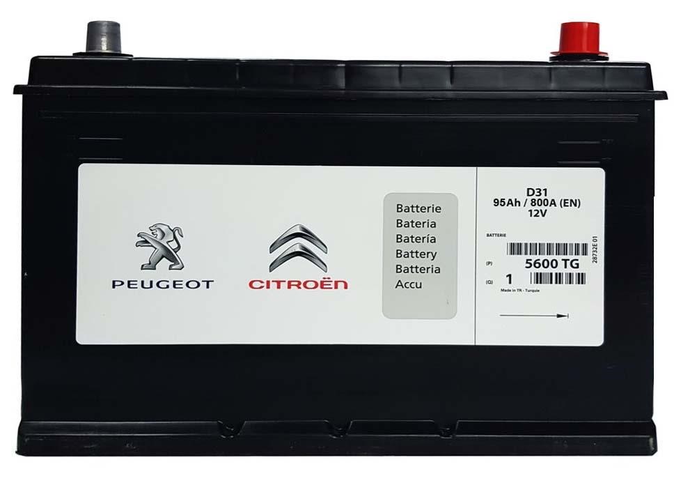 Citroen/Peugeot 5600 TG Battery Citroen/Peugeot 12V 95AH 800A(EN) R+ 5600TG: Buy near me in Poland at 2407.PL - Good price!