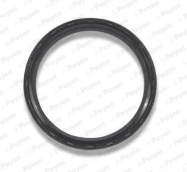 Wilmink Group WG1183268 Crankshaft oil seal WG1183268: Buy near me at 2407.PL in Poland at an Affordable price!