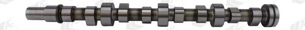 Wilmink Group WG1171881 Camshaft WG1171881: Buy near me in Poland at 2407.PL - Good price!