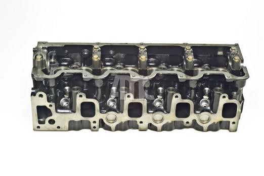 Wilmink Group WG1011175 Cylinderhead (exch) WG1011175: Buy near me in Poland at 2407.PL - Good price!