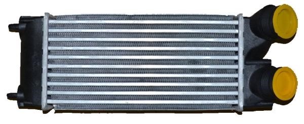 Wilmink Group WG1723767 Intercooler, charger WG1723767: Buy near me in Poland at 2407.PL - Good price!