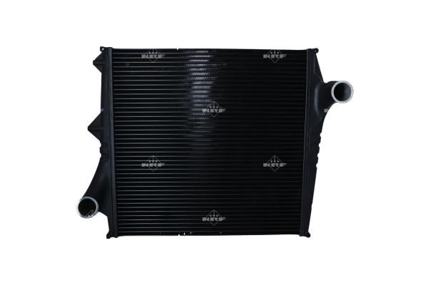 Wilmink Group WG1724176 Intercooler, charger WG1724176: Buy near me in Poland at 2407.PL - Good price!