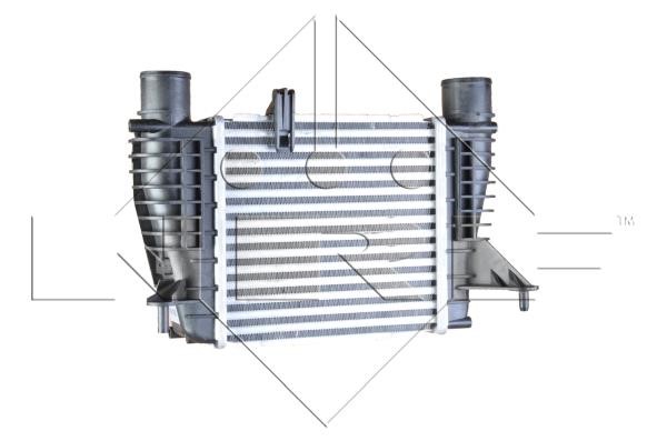 Wilmink Group WG1724115 Chłodnica powietrza doładowującego (intercooler) WG1724115: Dobra cena w Polsce na 2407.PL - Kup Teraz!