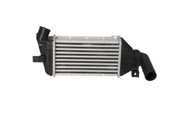 Wilmink Group WG1723955 Chłodnica powietrza doładowującego (intercooler) WG1723955: Dobra cena w Polsce na 2407.PL - Kup Teraz!