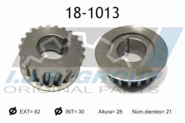 IJS Group 18-1013 TOOTHED WHEEL 181013: Buy near me in Poland at 2407.PL - Good price!