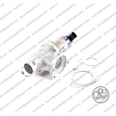 Dipasport EGR021N EGR Valve EGR021N: Buy near me in Poland at 2407.PL - Good price!