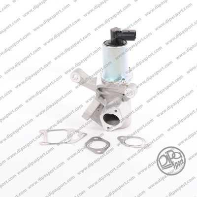 Dipasport EGR135DPSN EGR Valve EGR135DPSN: Buy near me in Poland at 2407.PL - Good price!