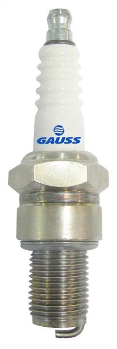 Gauss GV6R96 Свічка запалювання GV6R96: Купити у Польщі - Добра ціна на 2407.PL!