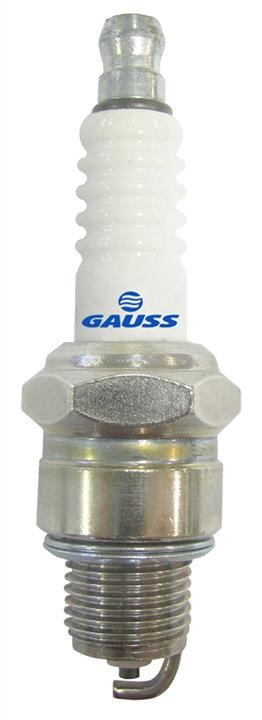 Gauss GV5P81 Свеча зажигания GV5P81: Отличная цена - Купить в Польше на 2407.PL!