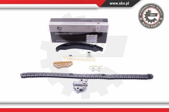 Esen SKV 21SKV124 Timing chain kit 21SKV124: Buy near me in Poland at 2407.PL - Good price!