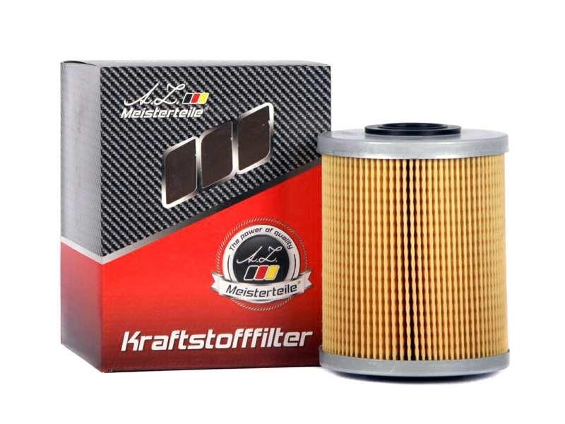 A.Z. Meisterteile AZMT-41-020-1202 Fuel filter AZMT410201202: Buy near me in Poland at 2407.PL - Good price!