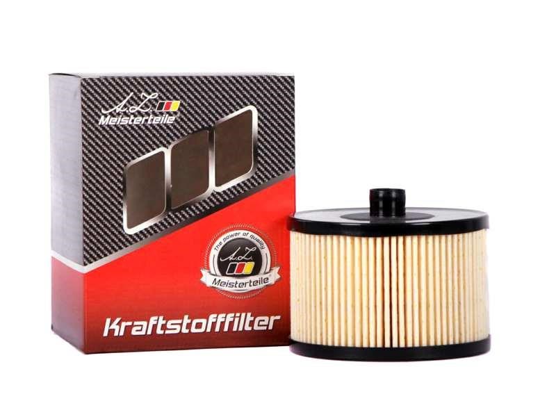 A.Z. Meisterteile AZMT-41-020-1258 Fuel filter AZMT410201258: Buy near me in Poland at 2407.PL - Good price!