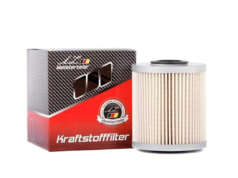 A.Z. Meisterteile AZMT-41-020-1266 Fuel filter AZMT410201266: Buy near me in Poland at 2407.PL - Good price!