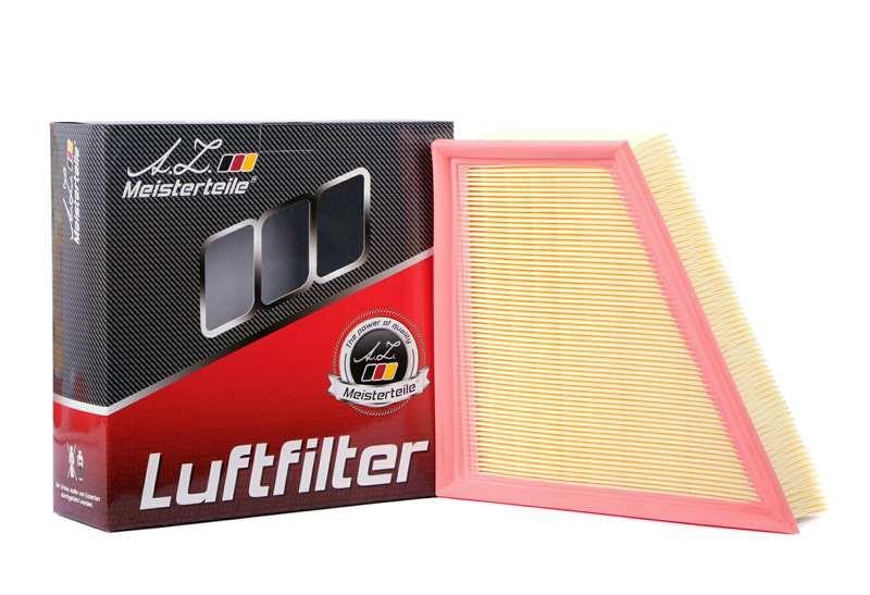 A.Z. Meisterteile AZMT-41-030-1110 Air filter AZMT410301110: Buy near me in Poland at 2407.PL - Good price!