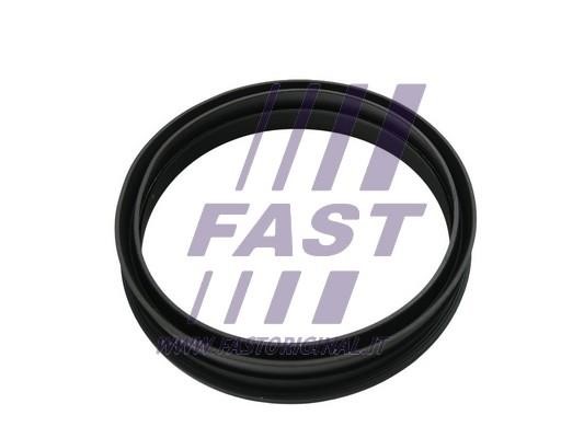 Купити Fast FT48501 за низькою ціною в Польщі!