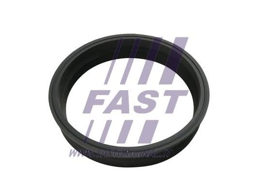 Fast FT48501 Ущільнення, датчик бака FT48501: Купити у Польщі - Добра ціна на 2407.PL!