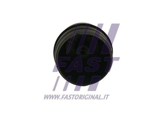 Kup Fast FT94747 w niskiej cenie w Polsce!