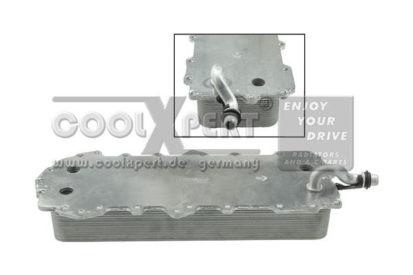 BBR Automotive 001-10-25002 Housing, oil filter 0011025002: Buy near me in Poland at 2407.PL - Good price!