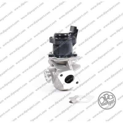 Dipasport EGR017DLPN EGR Valve EGR017DLPN: Buy near me in Poland at 2407.PL - Good price!