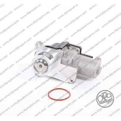 Dipasport EGR022N EGR Valve EGR022N: Buy near me in Poland at 2407.PL - Good price!