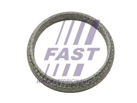 Fast FT84818 Exhaust pipe gasket FT84818: Buy near me in Poland at 2407.PL - Good price!