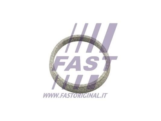 Fast FT84823 Exhaust pipe gasket FT84823: Buy near me in Poland at 2407.PL - Good price!