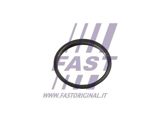 Fast FT49853 Ущільнення, вакуумний насос FT49853: Приваблива ціна - Купити у Польщі на 2407.PL!