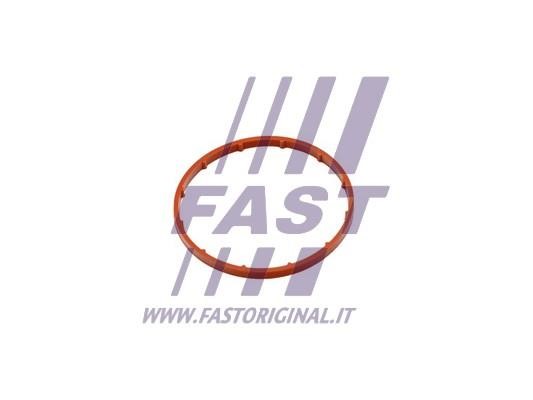 Fast FT50701 Gasket, vacuum pump FT50701: Buy near me at 2407.PL in Poland at an Affordable price!