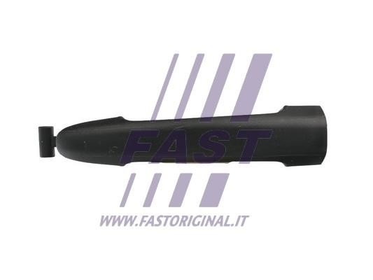 Fast FT94307 Door Handle FT94307: Buy near me in Poland at 2407.PL - Good price!
