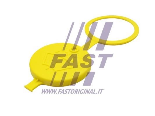 Fast FT94605 Cap, coolant tank FT94605: Buy near me in Poland at 2407.PL - Good price!