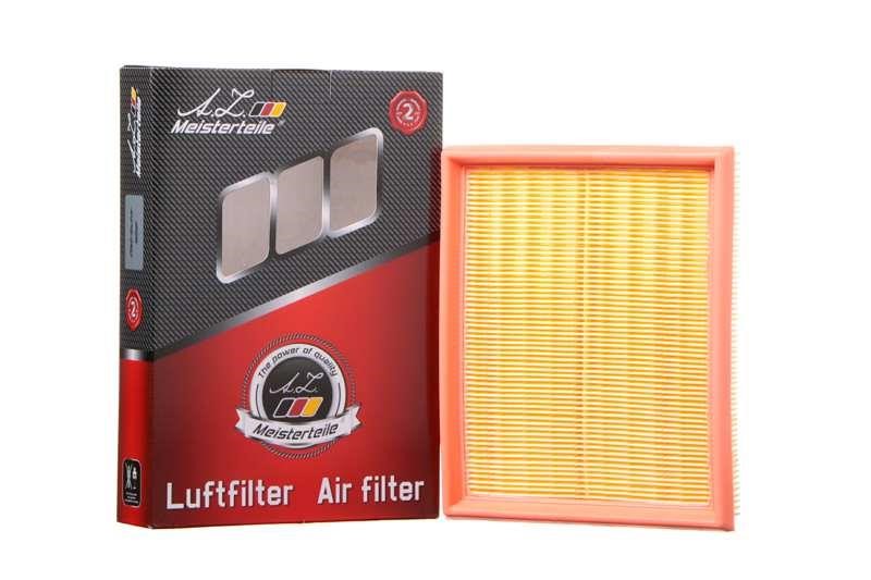A.Z. Meisterteile AZMT-41-030-1263 Air filter AZMT410301263: Buy near me in Poland at 2407.PL - Good price!