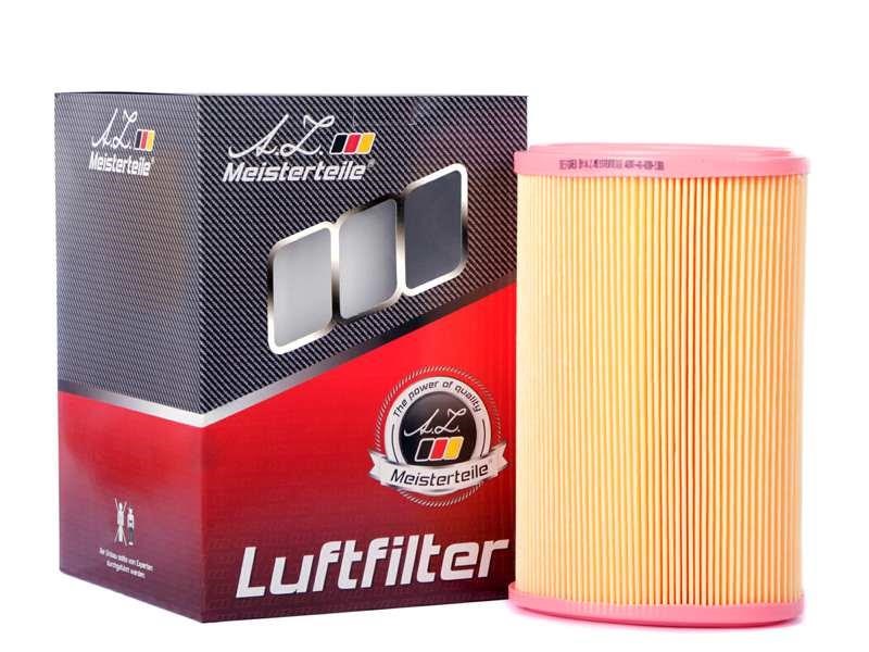 A.Z. Meisterteile AZMT-41-030-1301 Air filter AZMT410301301: Buy near me in Poland at 2407.PL - Good price!
