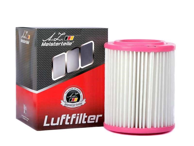 A.Z. Meisterteile AZMT-41-030-1703 Air filter AZMT410301703: Buy near me in Poland at 2407.PL - Good price!