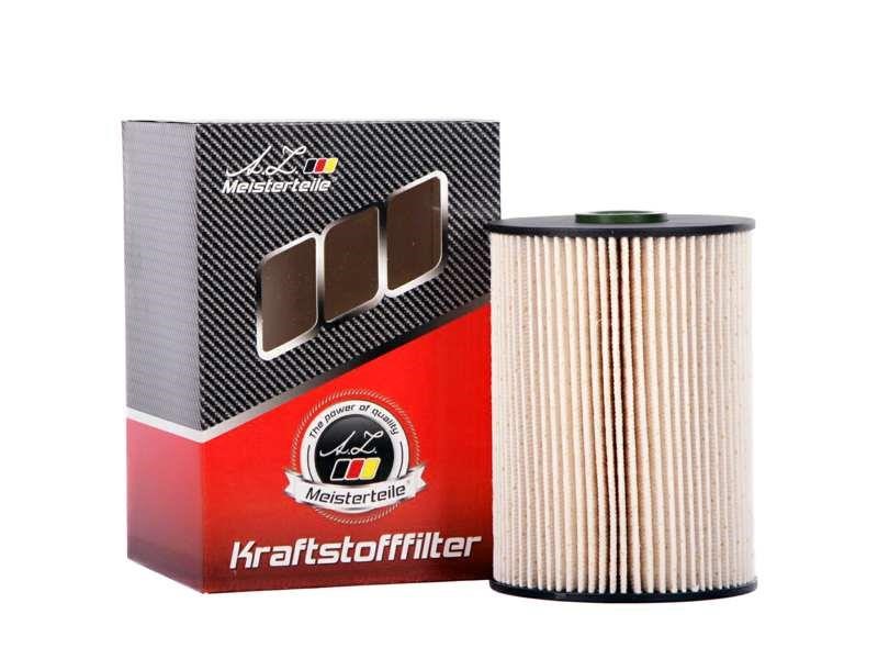 A.Z. Meisterteile AZMT-41-020-1270 Fuel filter AZMT410201270: Buy near me in Poland at 2407.PL - Good price!