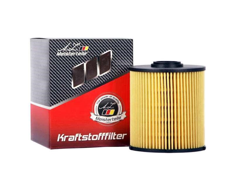 A.Z. Meisterteile AZMT-41-020-1216 Kraftstofffilter AZMT410201216: Kaufen Sie zu einem guten Preis in Polen bei 2407.PL!