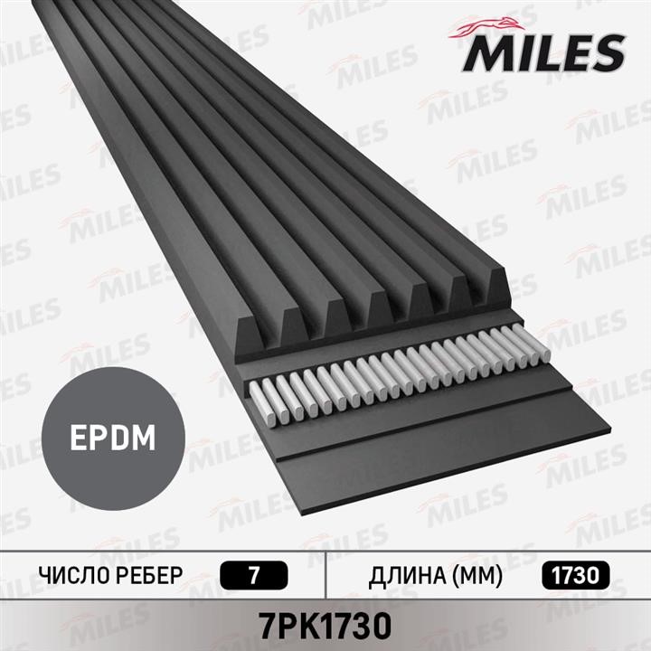 Miles 7PK1730 V-Ribbed Belt 7PK1730: Buy near me in Poland at 2407.PL - Good price!