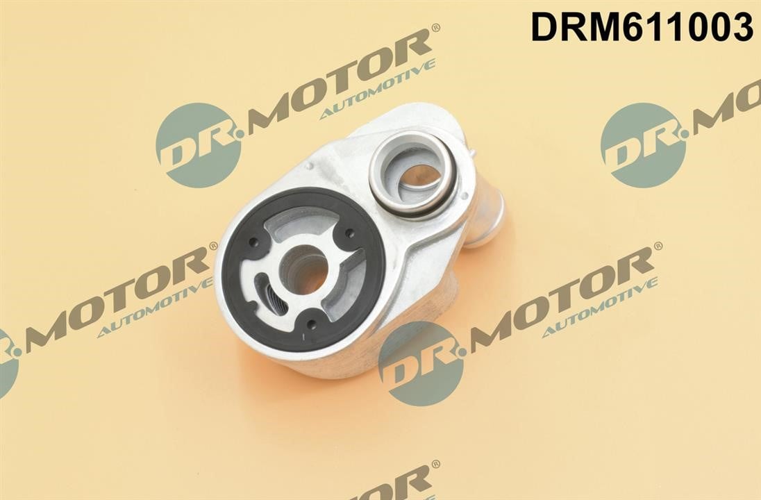 Dr.Motor DRM611003 Oil Cooler, engine oil DRM611003: Buy near me in Poland at 2407.PL - Good price!