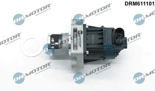 Dr.Motor DRM611101 Клапан рециркуляции отработанных газов EGR DRM611101: Отличная цена - Купить в Польше на 2407.PL!