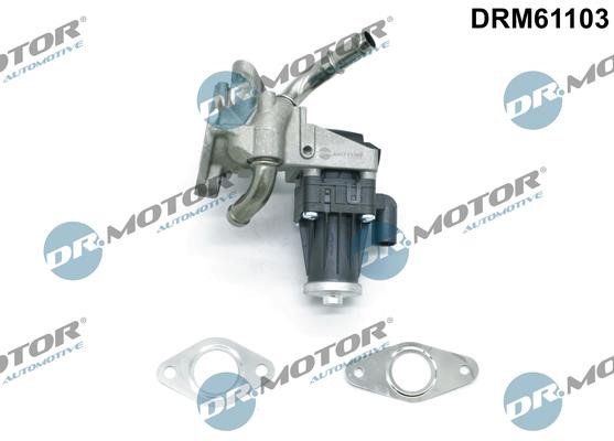 Dr.Motor DRM61103 AGR-Ventil DRM61103: Kaufen Sie zu einem guten Preis in Polen bei 2407.PL!