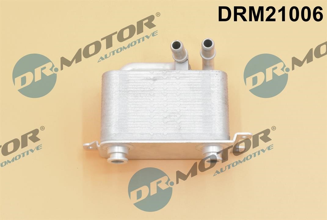 Dr.Motor DRM21006 Oil Cooler, engine oil DRM21006: Buy near me in Poland at 2407.PL - Good price!