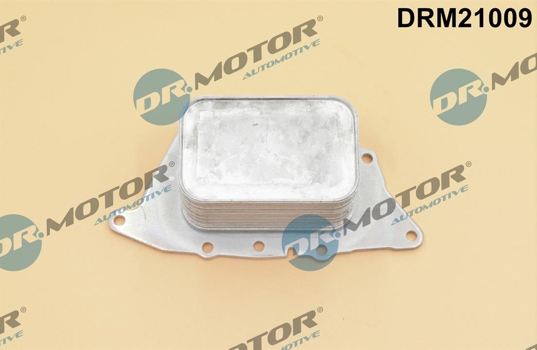 Dr.Motor DRM21009 Oil Cooler, engine oil DRM21009: Buy near me in Poland at 2407.PL - Good price!