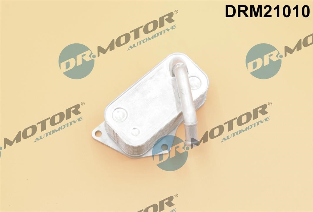 Dr.Motor DRM21010 Oil Cooler, engine oil DRM21010: Buy near me in Poland at 2407.PL - Good price!