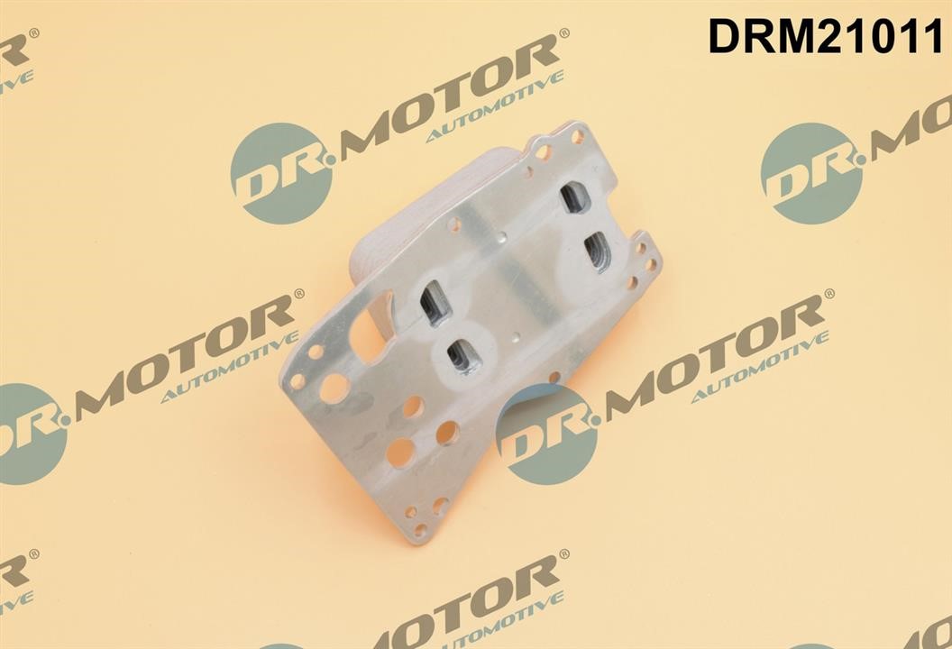 Buy Dr.Motor DRM21011 at a low price in Poland!