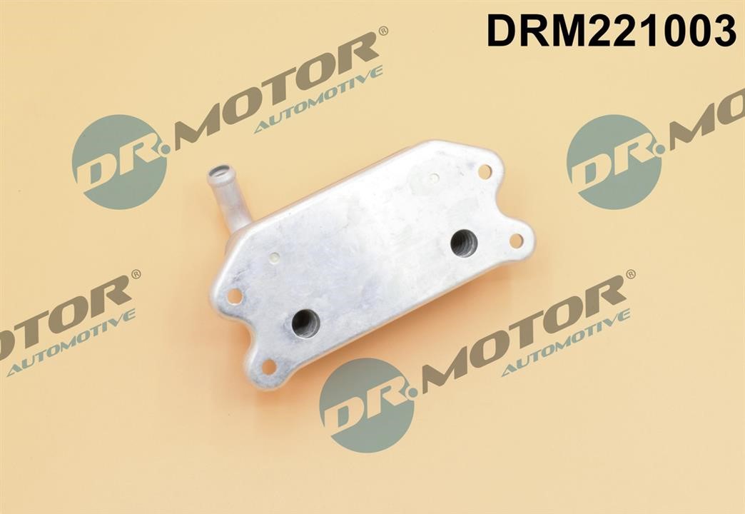 Купити Dr.Motor DRM221003 за низькою ціною в Польщі!