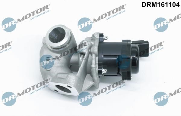 Dr.Motor DRM161104 Клапан рециркуляции отработанных газов EGR DRM161104: Отличная цена - Купить в Польше на 2407.PL!