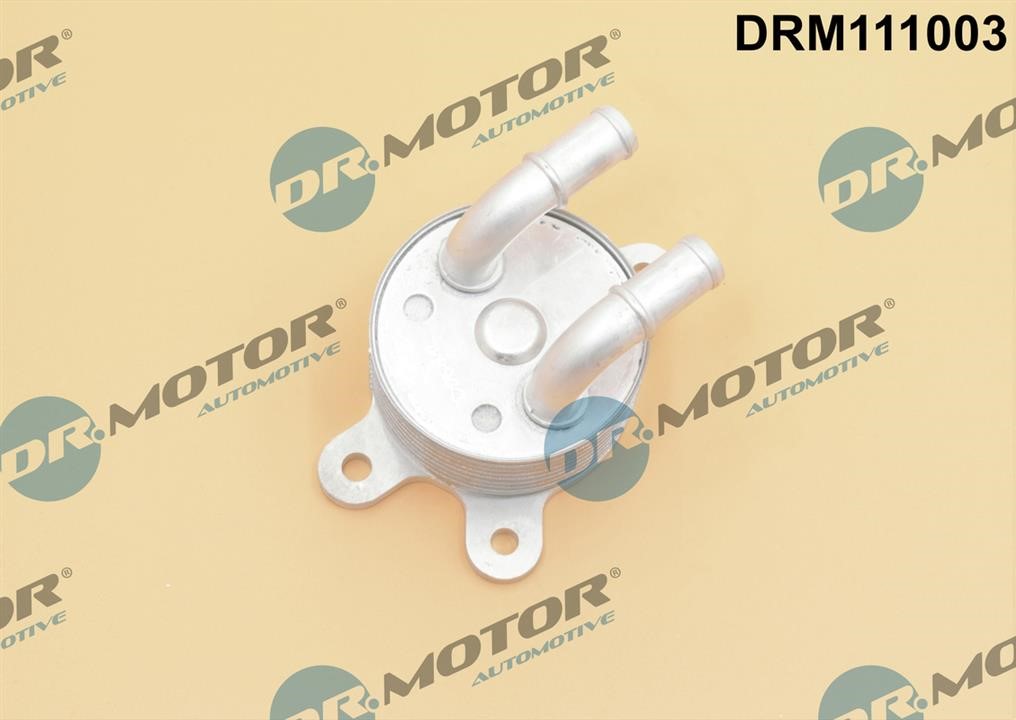 Dr.Motor DRM111003 Oil Cooler, automatic transmission DRM111003: Buy near me in Poland at 2407.PL - Good price!