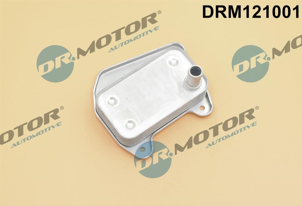 Dr.Motor DRM121001 Chłodnica oleju, olej silnikowy DRM121001: Dobra cena w Polsce na 2407.PL - Kup Teraz!