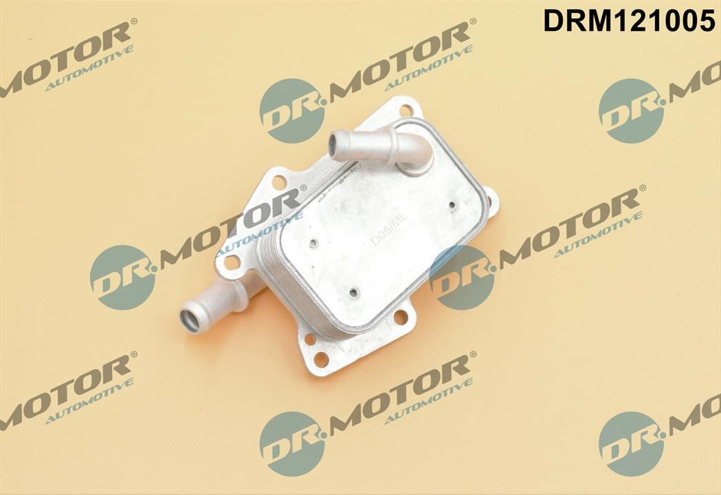 Dr.Motor DRM121005 Oil Cooler, engine oil DRM121005: Buy near me in Poland at 2407.PL - Good price!